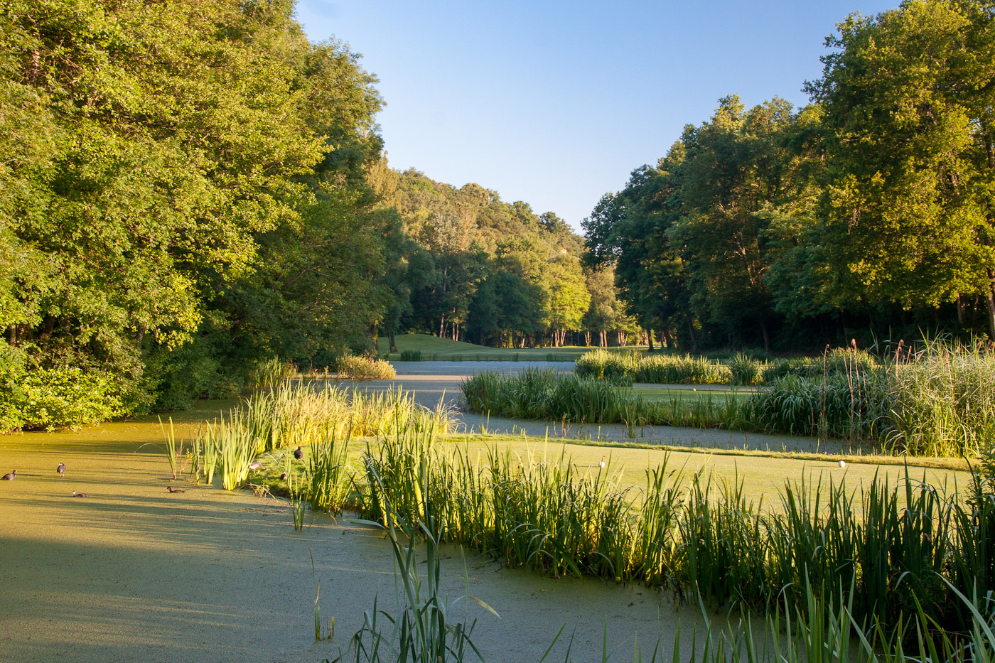 GOLF CLUB DE LYON