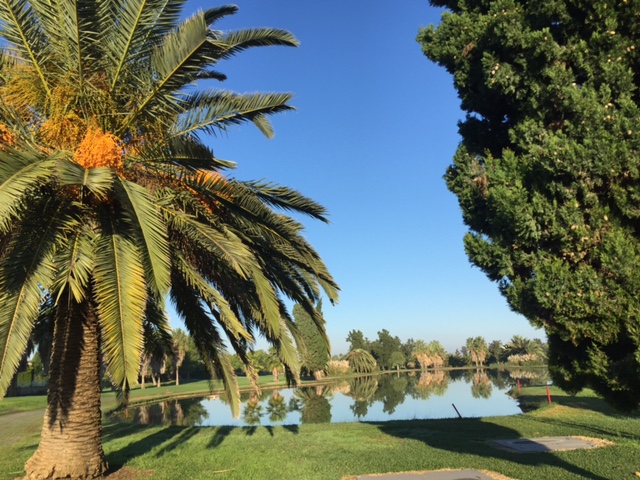 Vos séjours golfiques